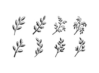 Collection of handdrawn leafy branches