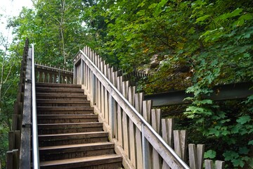 stair in the forest