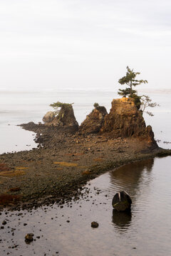 Pacific Northwest Island