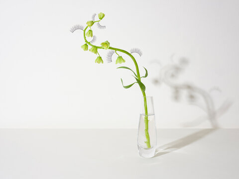 Stem of flowers in glass vase with fake eyelashes growing on white