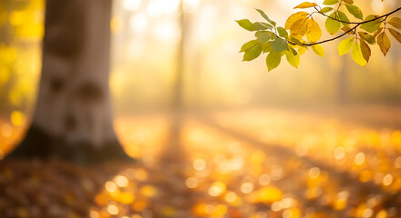 Golden autumn forest with sunbeams and fallen leaves