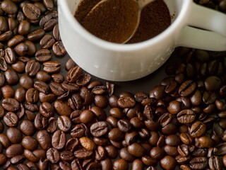 White Coffee Cup Surrounded by Freshly Roasted Coffee Beans - An Aromatic Background of Whole Coffee Beans with a Cup