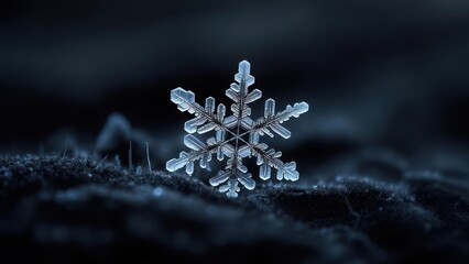 Close-up of a delicate snowflake on a dark, textured surface, showcasing its intricate crystalline structure.