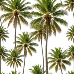 Obraz premium Lush palm tree pattern, perfect for tropical designs