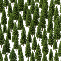 Fototapeta premium Dense forest of evergreen trees, textured