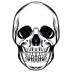 Stylized Human Skull Head Bone Design. A detailed black and white illustration of a human skull, presented from a frontal perspective. The design features bold outlines, dark eye sockets.