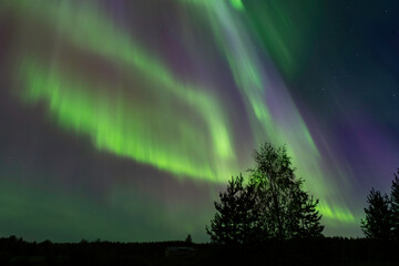 Aurora borealis Northern Lights fully covered the sky. Lapland amazing scenery