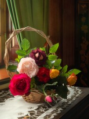 Still life with backet of garden roses