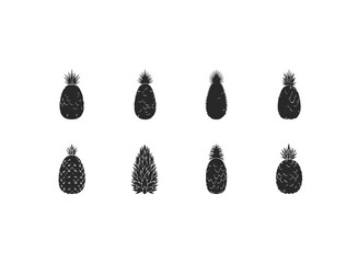 Collection of pineapple illustrations