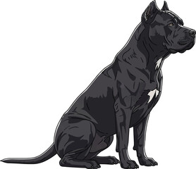 Dogo Sardesco dog sitting sideways side view vector illustration