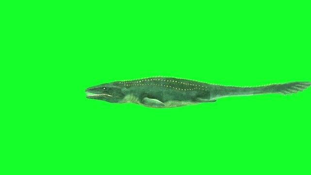  Mosasaurus swimming idle