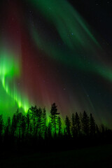 Aurora borealis Northern Lights fully covered the sky. Lapland amazing scenery