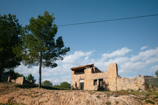 Rustic Stone Ruin with Trees