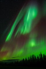Aurora borealis Northern Lights fully covered the sky. Lapland amazing scenery