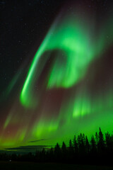 Aurora borealis Northern Lights fully covered the sky. Lapland amazing scenery