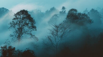 Fototapeta premium Misty Mountain Forest at Dawn