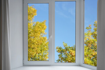 View from the window on the park, garden yellow autumn trees.