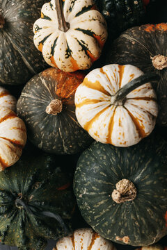 Pumpkins and gourds 
