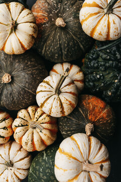 Pumpkins and gourds 