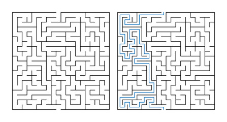 Maze puzzle with intricate paths and highlighted solution  