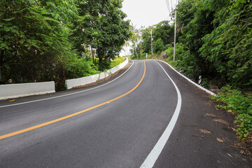 Fototapeta premium Road with a white line down the middle and a tree on the side
