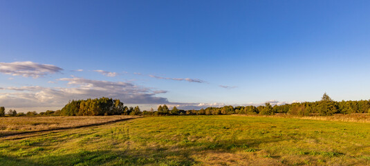 autumn landscape with blue sky