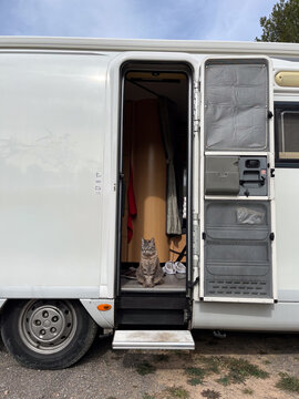 Cat Relaxing Near Camper Door