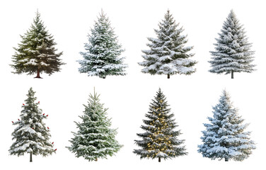 Obraz premium PNG Snow-covered evergreen trees collection, element set on transparent background