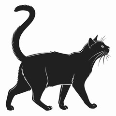 black cat vector illustration