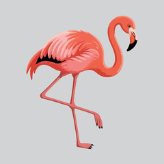 Pink Flamingo Illustration Standing on One Leg – Tropical Exotic Bird Art on Light Background