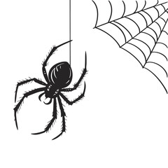 spider on a web