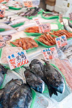Fresh Seafood Market Offers Variety of Fish and Shellfish in Japan