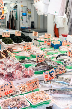 Fresh Seafood Market Offers Variety of Fish and Shellfish in Japan