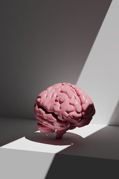 Glossy 3D Render of Human Brain in Dramatic Lighting