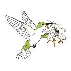 Obraz premium A hummingbird in flight, nectar-feeding on a cactus flower