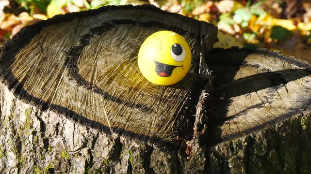 Autumn still life. A souvenir in the form of a smiling yellow gingerbread man on a stump.
