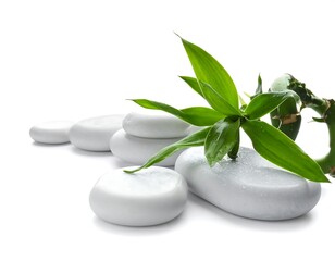 Smooth white stones and a vibrant bamboo sprig on a white background