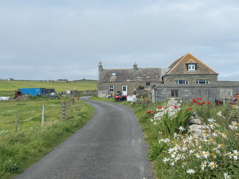 Roadside dwellings, papa Westray, Orkney