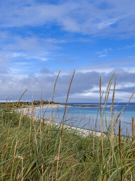 South Wick beach on the Isle of Papay, Orkney. 