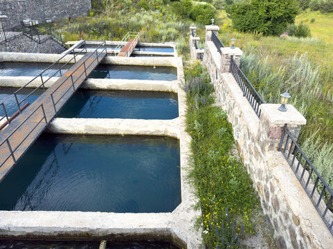 Trout production facility