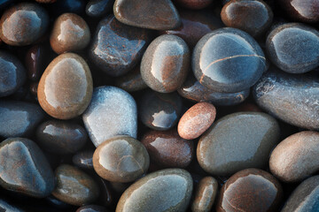 A collection of wet, smooth, multicolored sea stones. The concept of tranquility and serenity serves as a textured backdrop for a web banner page template design