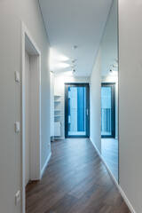 Modern Home Hallway With Wooden Floor and Mirror Featuring Contemporary Lighting