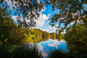 Fototapete bei efototapeten.de bestellen   