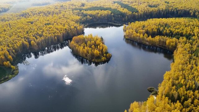 An aerial view of a vibrant autumn forest with a winding river cutting through it. Symbolizes change, beauty, and the cyclical rhythm of nature.