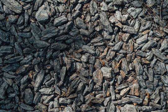 Closeup of Garnet-Biotite Schist Rock Surface