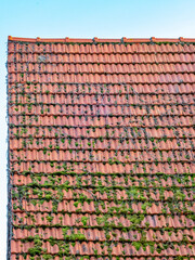 Schäden an einem alten Dach