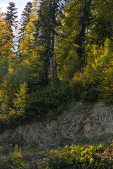 Obraz premium Autumn mountain landscape, Rosa Peak, Krasnaya Polyana, Sochi, road to the waterfalls