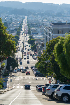 San Francisco, United States - 11 September 2025: View of a steep road descending towards a distant cityscape, flanked by lush greenery and parked cars, under a hazy sky.