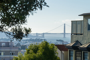 San Francisco, United States - 11 September 2025: View of the Golden Gate Bridge shrouded in mist, framed by the vibrant green foliage and urban architecture.