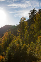 Autumn mountain landscape, Rosa Peak, Krasnaya Polyana, Sochi, road to the waterfalls